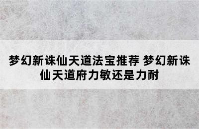 梦幻新诛仙天道法宝推荐 梦幻新诛仙天道府力敏还是力耐